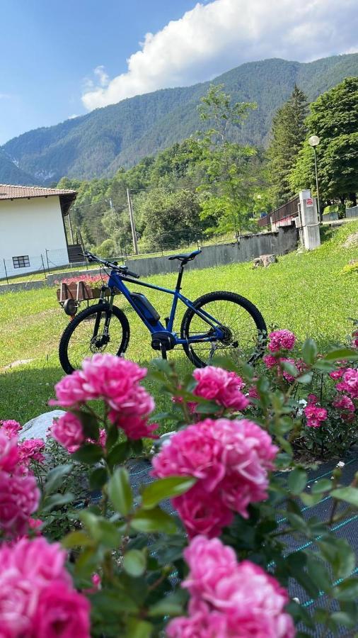 B&B Stari Mlin - Vecchio Mulino San Giorgio  외부 사진